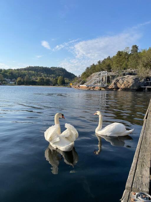 Leilighet Ved Sjoen Med Strand Apartment Porsgrunn Bagian luar foto